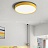 Светодиодные плоские потолочные светильники KIER 40 см  Желтый фото 9