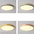 Цветные плоские светодиодные светильники в эко стиле DISC DH 48 см  Зеленый фото 24
